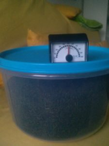 Artemizja w plastikowym pojemniku z wilgotnociomerzem