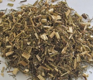 Artemisia annua essiccata - fusti