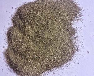 Artemisia annua essiccata - polvere